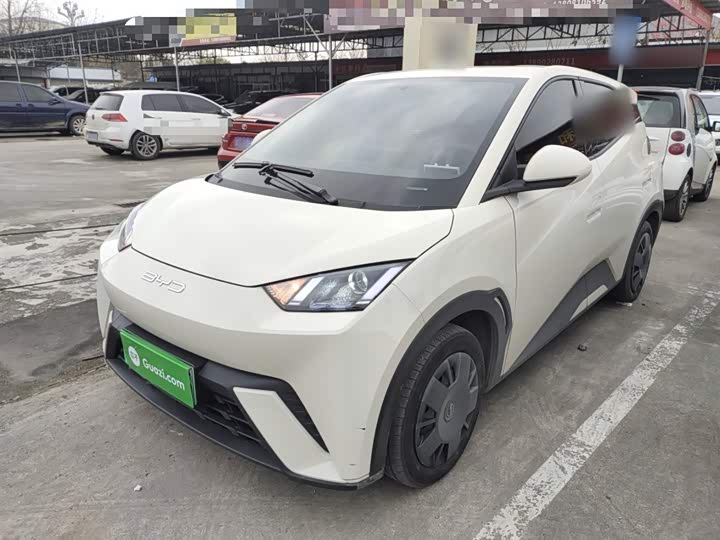 Фото 1 - BYD Seagull