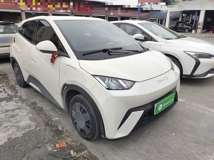 Фото 4 - BYD Seagull