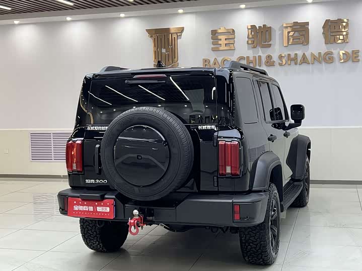 Фото 2 - Tank 300