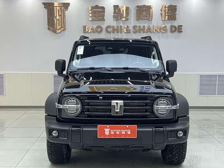 Фото 3 - Tank 300