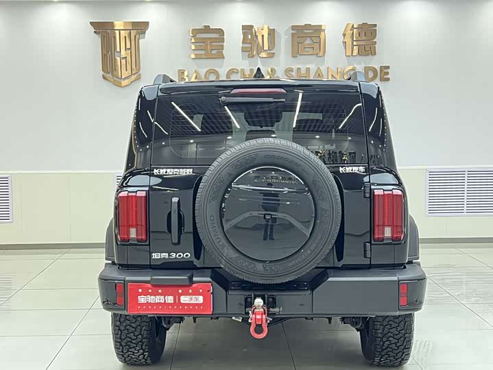 Фото 5 - Tank 300