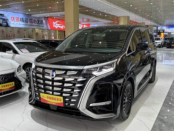 Фото 1 - Denza D9