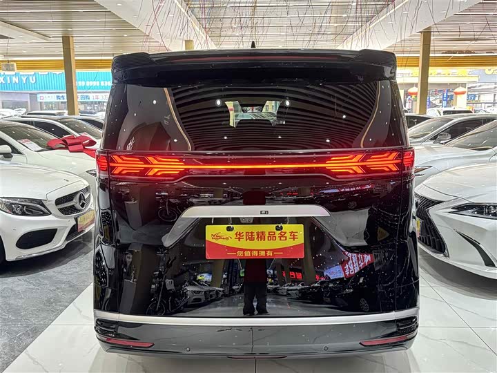 Фото 3 - Denza D9