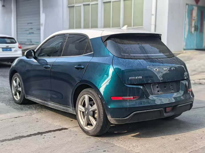 Фото 7 - Ora Good Cat (03)