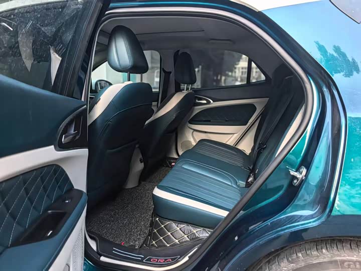 Фото 9 - Ora Good Cat (03)