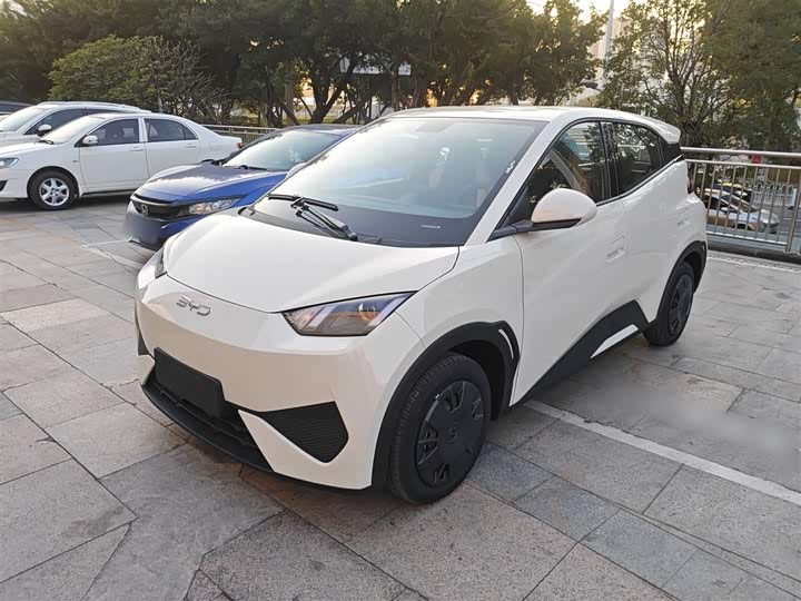 Фото 1 - BYD Seagull