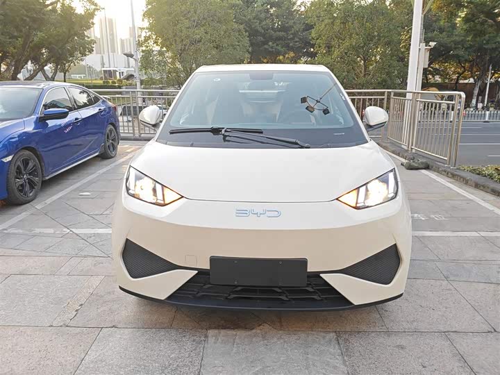 Фото 3 - BYD Seagull