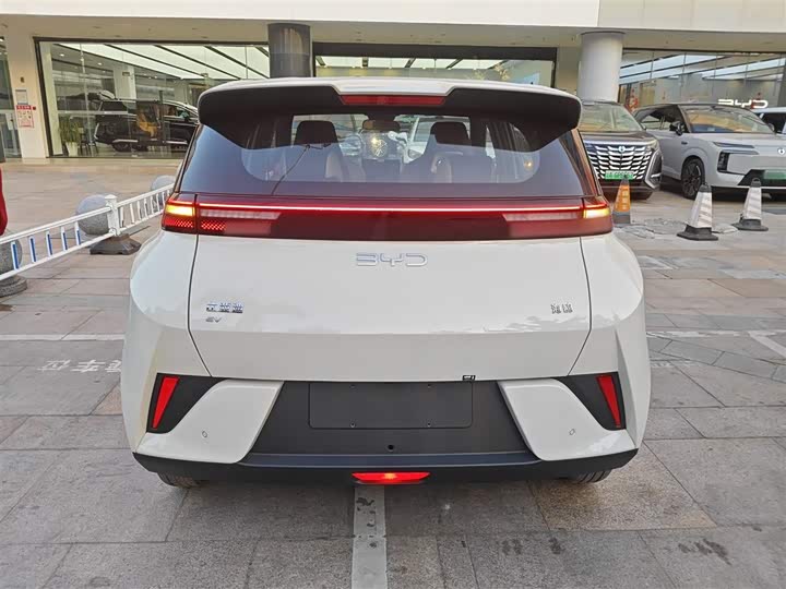 Фото 6 - BYD Seagull