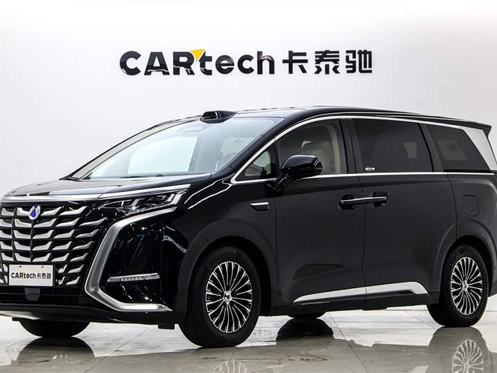 Фото 1 - Denza D9