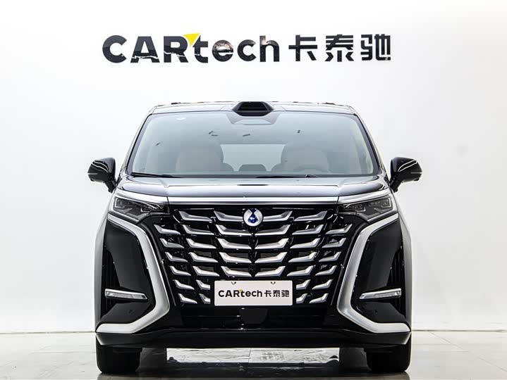 Фото 2 - Denza D9