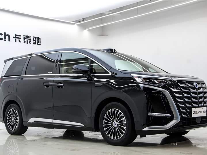 Фото 3 - Denza D9