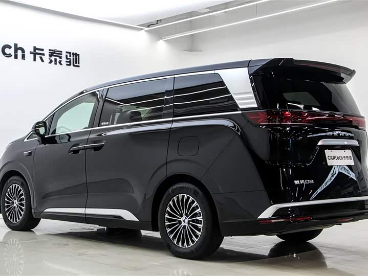 Фото 6 - Denza D9