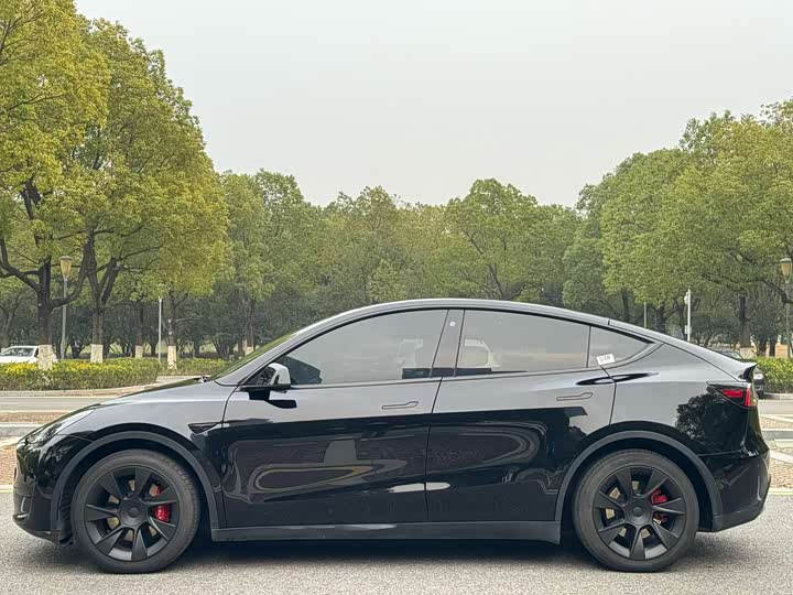 Фото 3 - Tesla Model Y