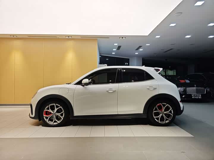 Фото 6 - Ora Good Cat GT (03 GT)