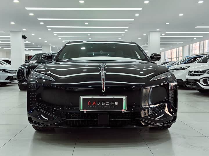 Фото 2 - Hongqi EH7