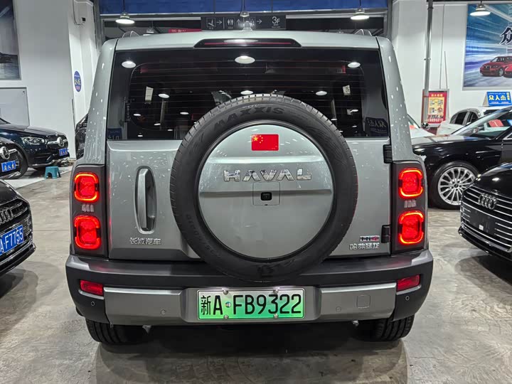 Фото 4 - Haval Raptor Hybrid