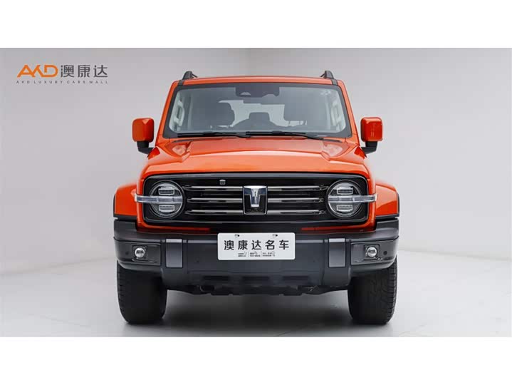 Фото 2 - Tank 300