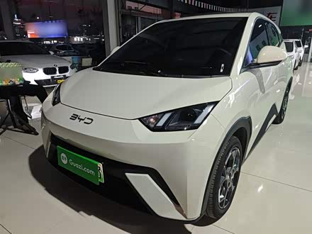 Фото 1 - BYD Seagull