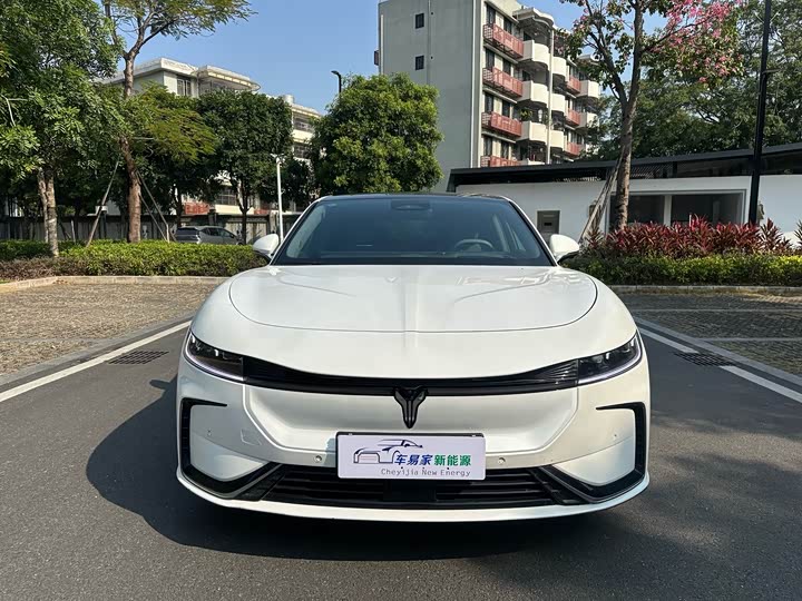 Фото 2 - Voyah Passion