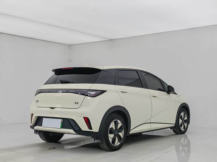 Фото 6 - BYD Dolphin