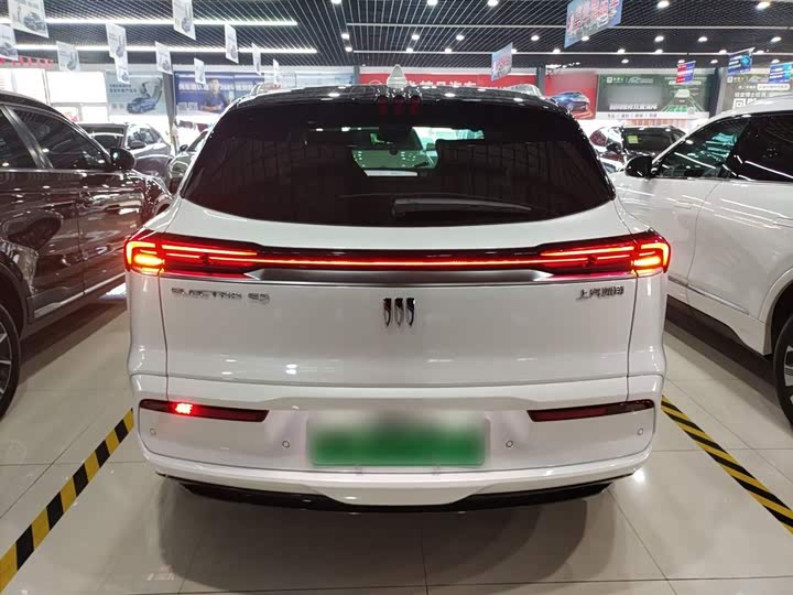 Фото 6 - Buick Electra E5