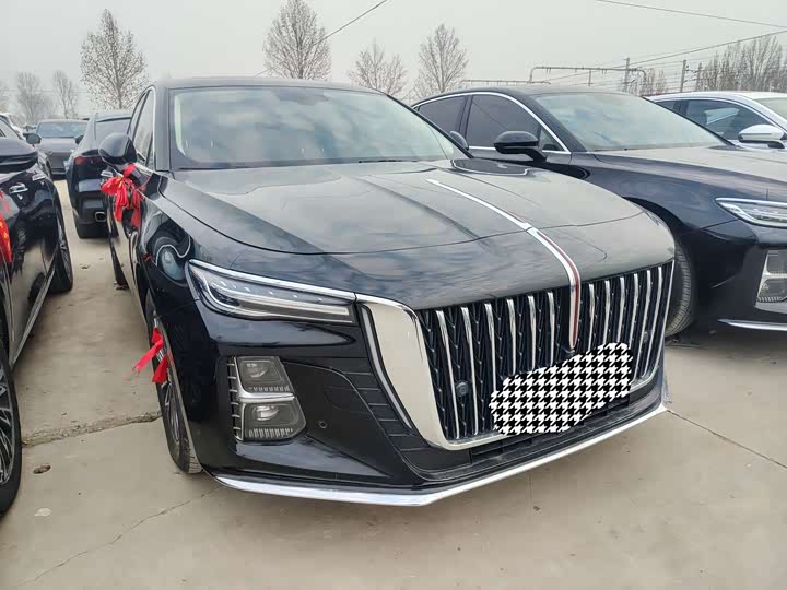 Фото 3 - Hongqi H5