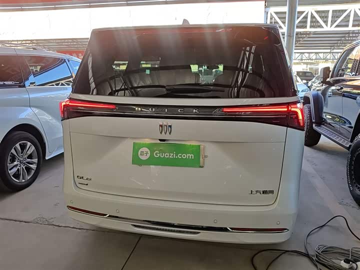 Фото 6 - Buick GL8 Hybrid