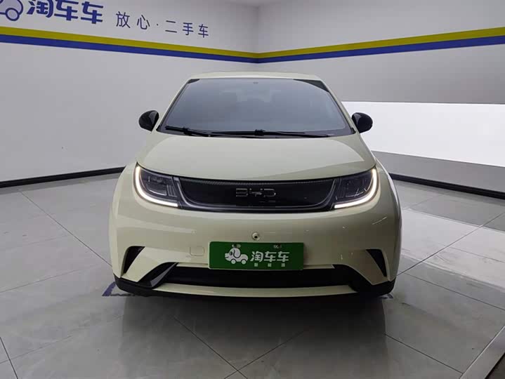 Фото 2 - BYD Dolphin
