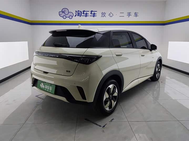 Фото 3 - BYD Dolphin