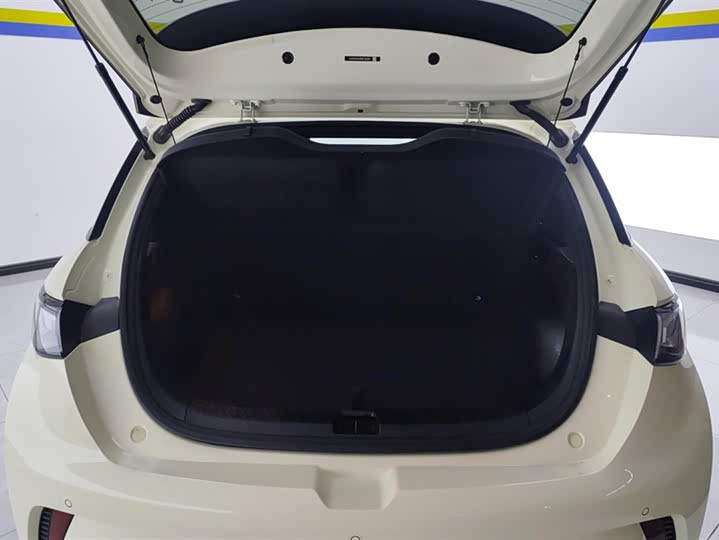 Фото 4 - BYD Dolphin