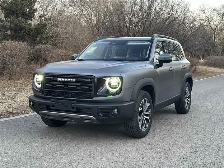 Фото 1 - Haval Dargo