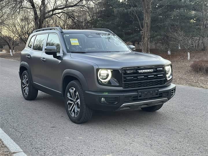 Фото 2 - Haval Dargo