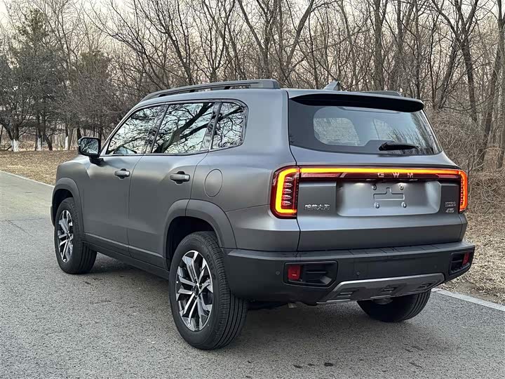 Фото 4 - Haval Dargo