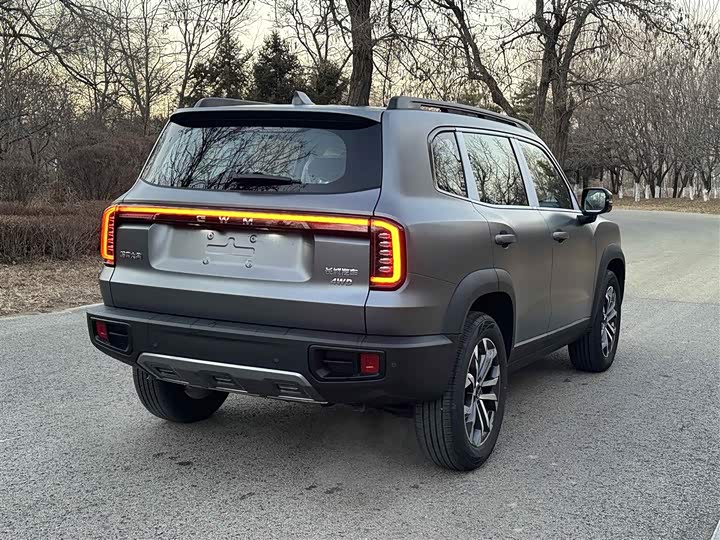 Фото 5 - Haval Dargo