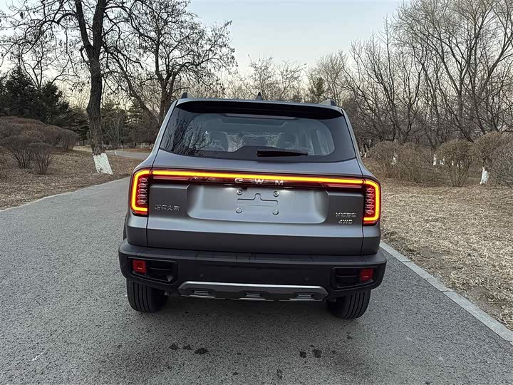 Фото 6 - Haval Dargo