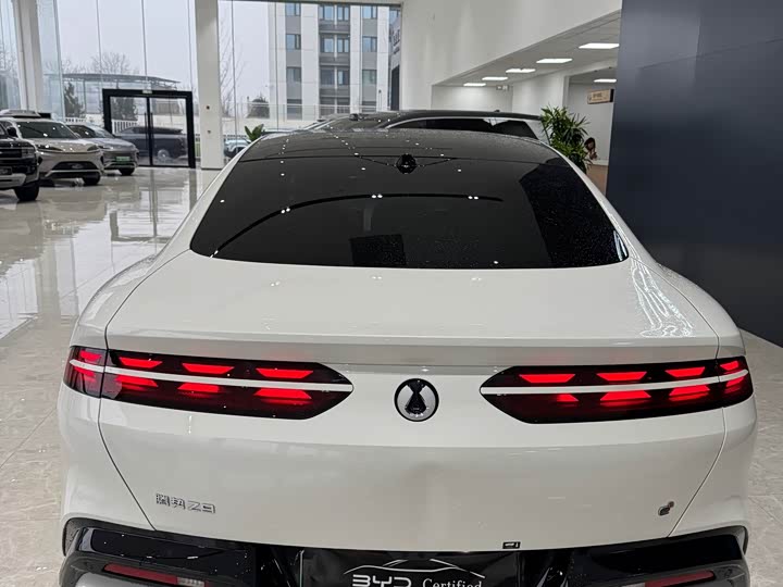 Фото 9 - Denza Z9