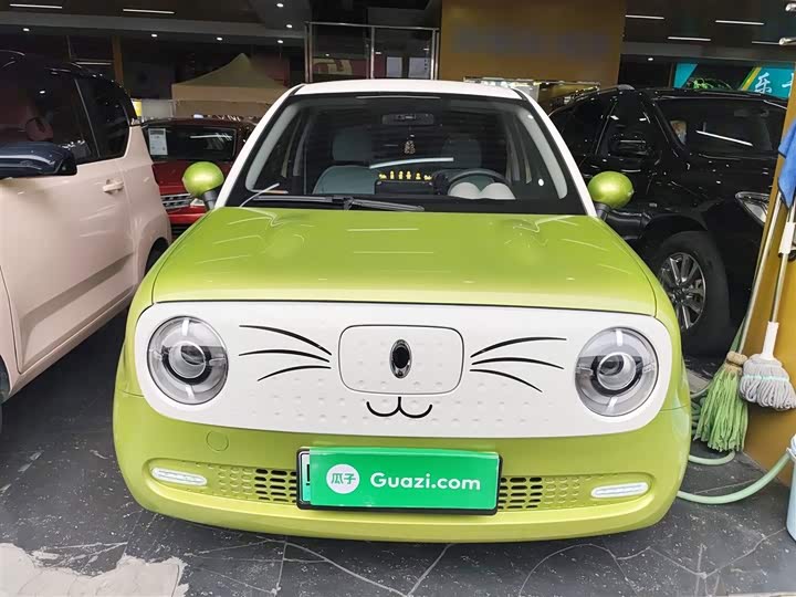 Фото 3 - Ora Black Cat