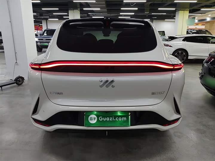 Фото 6 - IM motors LS7