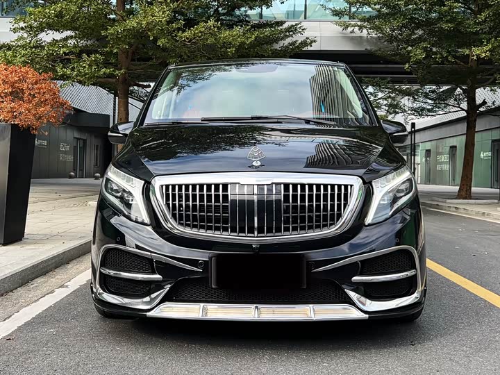 Фото 2 - Mercedes-Benz V-Class