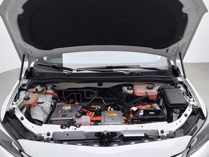 Фото 6 - Buick Velite 6