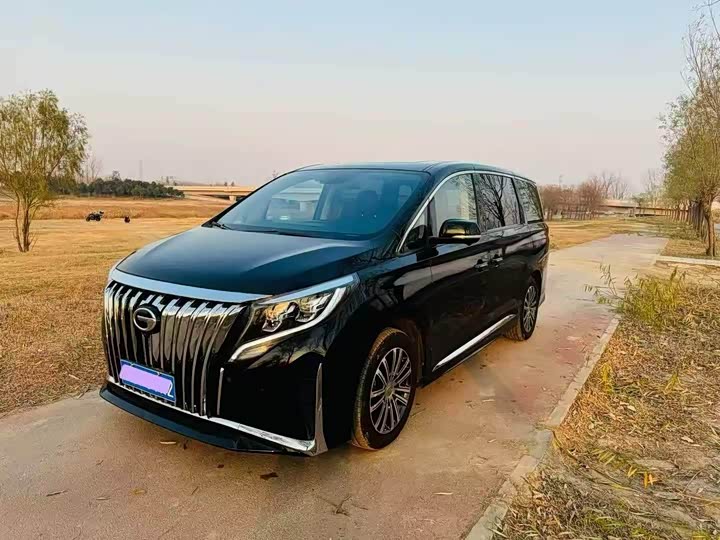 Фото 1 - GAC Trumpchi M8