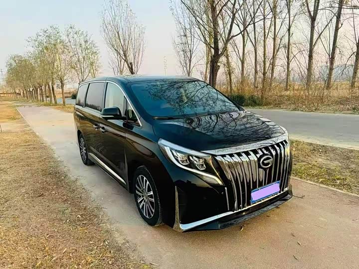 Фото 3 - GAC Trumpchi M8