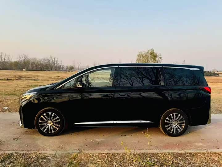 Фото 8 - GAC Trumpchi M8