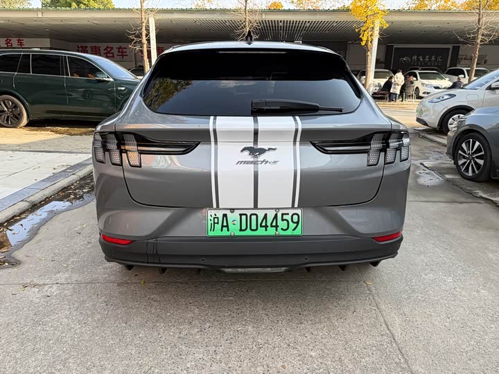 Фото 6 - Ford Mustang Mach-E