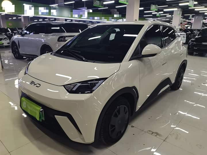 Фото 2 - BYD Seagull