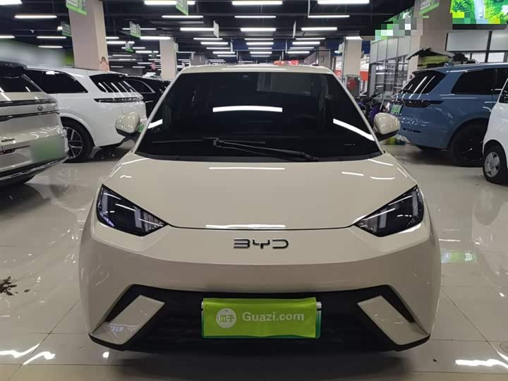 Фото 3 - BYD Seagull