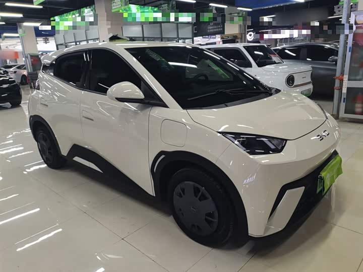 Фото 4 - BYD Seagull