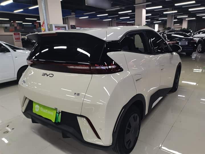 Фото 7 - BYD Seagull