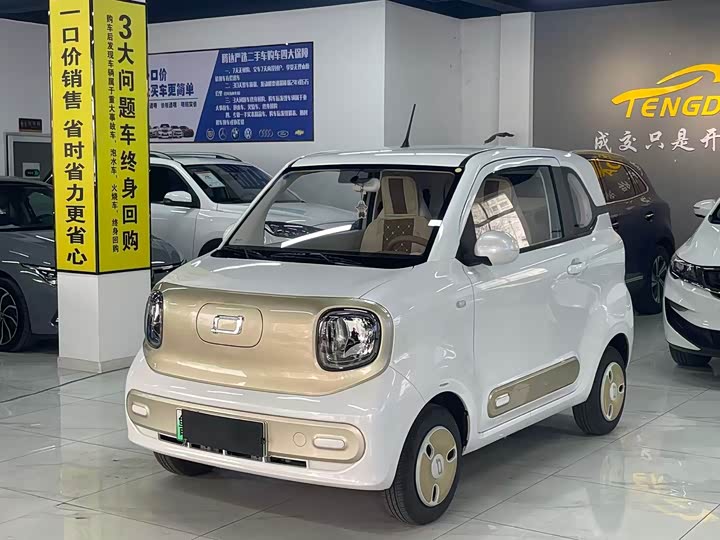 Фото 1 - Bestune Pony