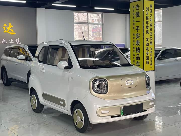 Фото 3 - Bestune Pony